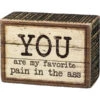 Rustic Box Sign You Are My Favorite Pain In The Ass