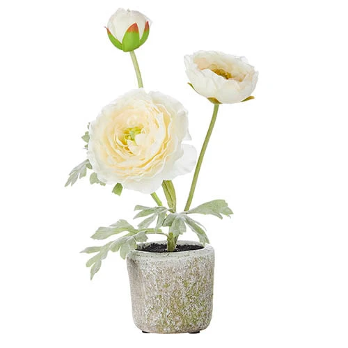 11" Potted White Ranunculus Faux Plant 1 11" Potted White Ranunculus Faux Plant