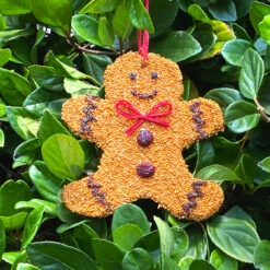 Mr. Bird Gingerbread Man Cookie Bird Seed Ornament