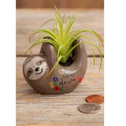 Faux Succulents In Sloth Planter Slow Down